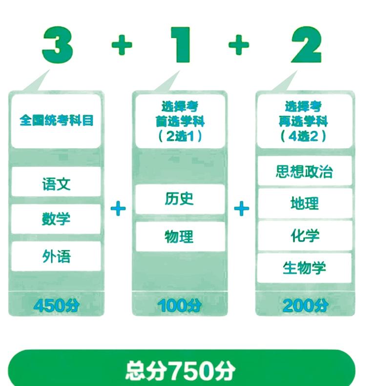 新奥2025免费资料公开，精选解释解析与落实策略