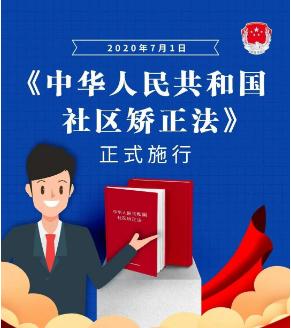 关于新澳门正版精准免费大全的解析与落实，犯罪预防与法治建设的探讨