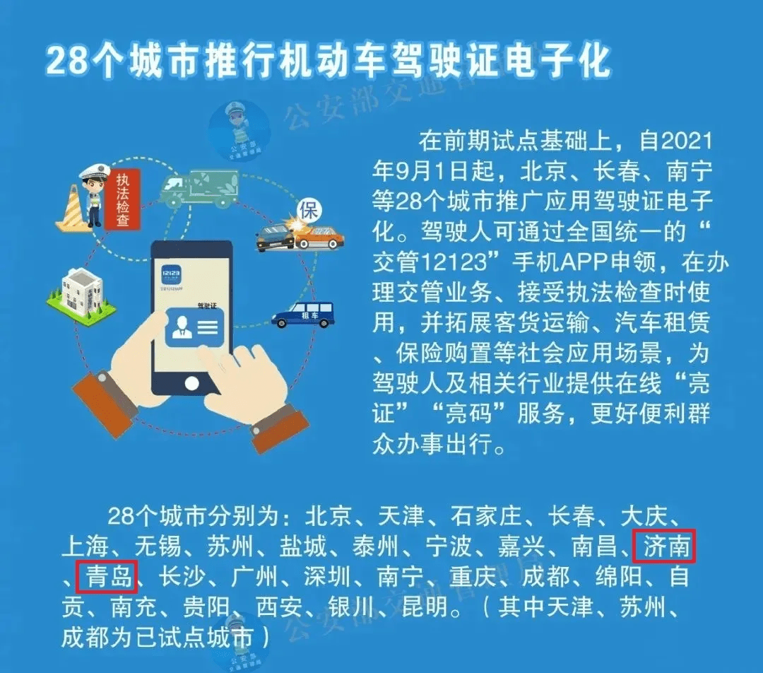 澳门特马网站www精选解释解析落实策略与体验分享