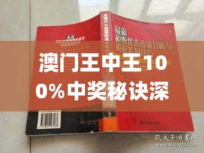 澳门王中王100%正确答案最新章节与解析落实精选解释