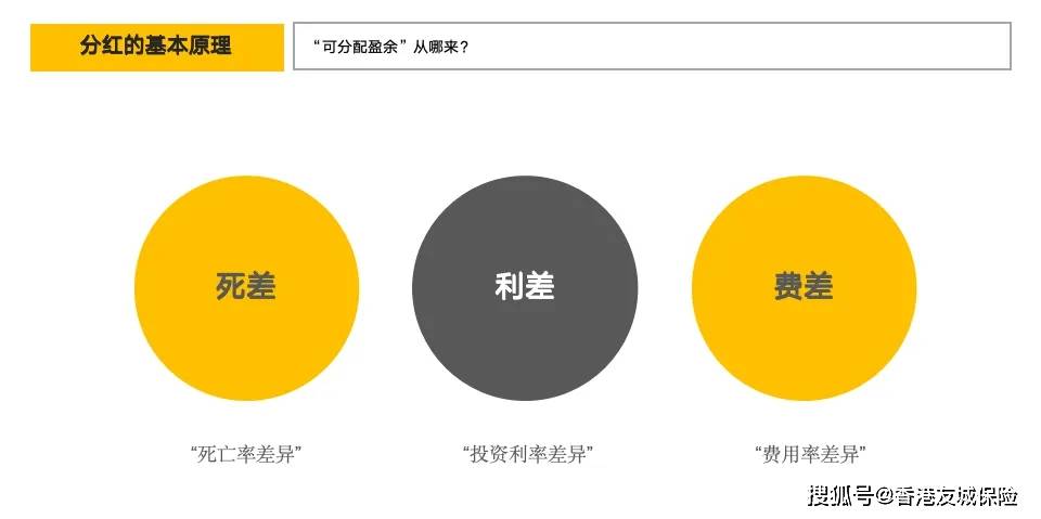 深度解析香港彩票开奖记录，预测、解析与落实策略