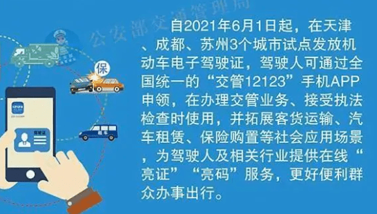 一码一肖，精准生肖第六期解析与落实策略精选解析