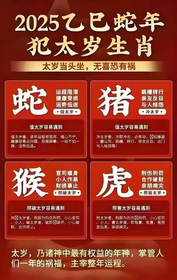 精选解析，关于2025年十二生肖与49码图的深度解读与落实策略