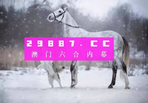 澳门一肖一码，揭秘精选解释解析与落实之道